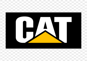 resize-17587186331599098790catlogo