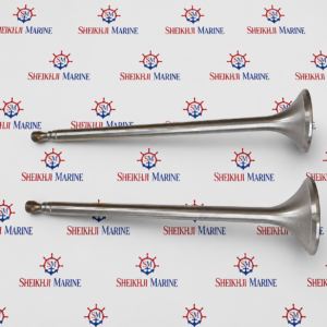 Intake & Exhaust Valve Set